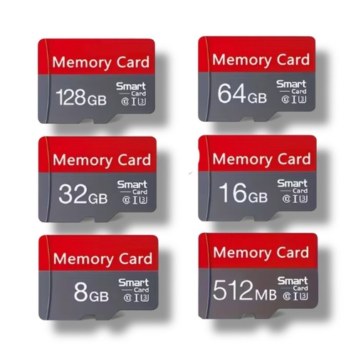 Scheda memoria micro - scheda, di