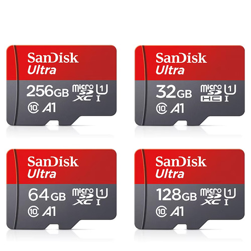 Scheda memoria sandisk 256 - memoria,